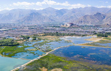 高COD高氨氮废水公司